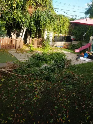 E&T Lawn Maintenance and Tree Trimming