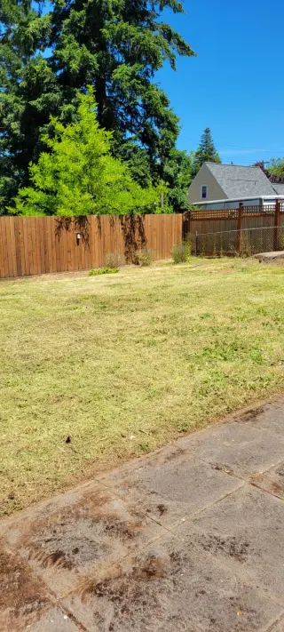 Stunning Landscaping