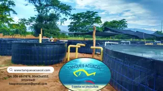 Tanque de Acuicultura para Cría de Peces