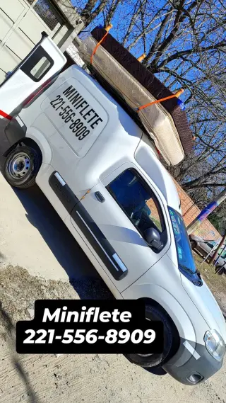 Miniflete