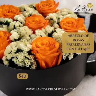 Ecuadorian Preserved Roses Infinity Flowers Eternal Roses