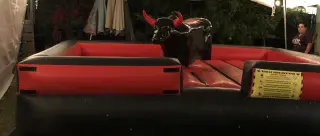 Toros mecanicos