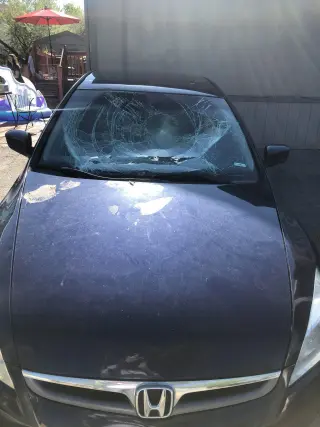 Chihuas Autoglass