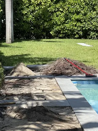 Servicio de jardineria y limpieza