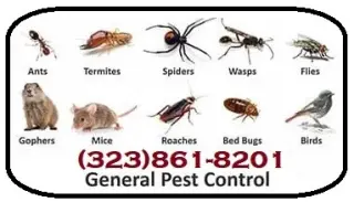 EXTERMINADORES LOS ANGELES