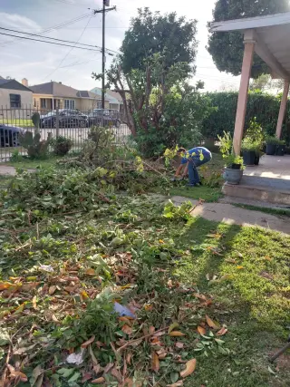 Erick's junk removal