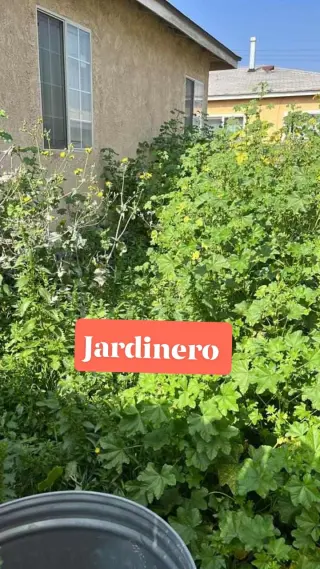 Corte de pasto 🌿🏠 acepto zelle