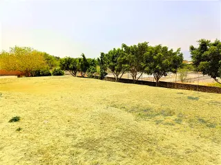 Rancho Alegre 2