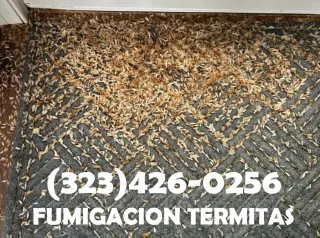 FUMIGACIONES COMEJEN ~ TERMITAS ~ POLILLAS