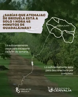 Sendero Cervalia UP 167