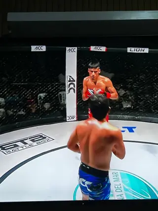 Clases de MMA, Muay Thai y jiujitsu