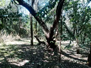 Excelente terreno de 954 m² en Salsipuedes con escritura y servicios