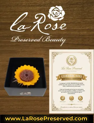 WholeSale Eternal Roses Supplier Exporters Ecuador Premium Preserved Roses