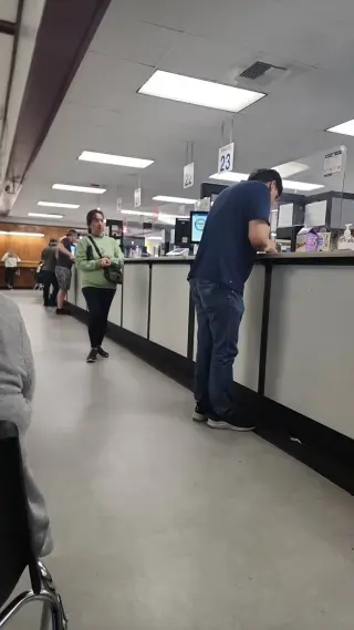 Servicio del DMV Licencia de conducir