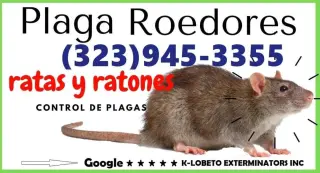 Control Ratones y Reparaciones