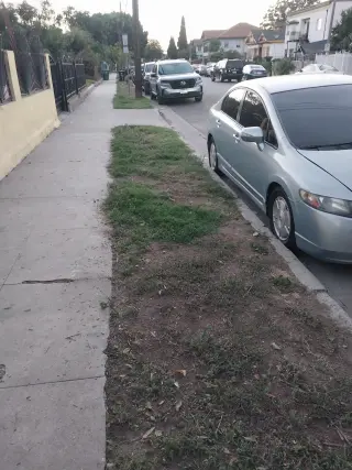 Erick's Junk Removal