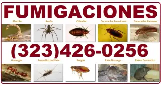 INSPECTORES TERMITAS LOS ANGELES.- 24/7.-