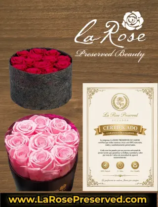 WholeSale Eternal Roses Supplier Exporters Ecuador Premium Preserved Roses