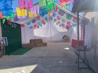 Paquete economico $399