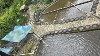 Pesca deportiva Barbosa Antioquia
