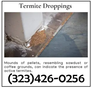 FUMIGACIONES TERMITAS EAST LOS ANGELES