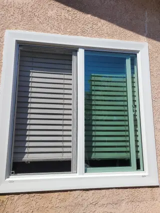 Cardenas windows
