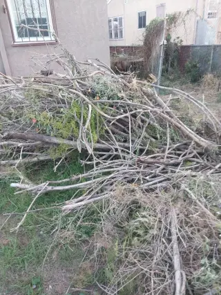 Erick's Junk Removal