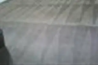 LIMPIEZA de ALFOMBRAS