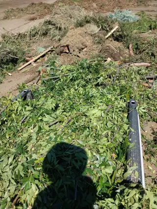 E&T Lawn Maintenance and Tree Trimming