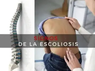 Contáctame para programar una visita y aclarar dudas sobre el servicio.