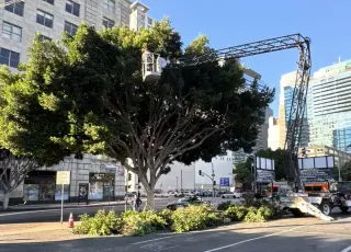 Heartwood Tree Service Corp