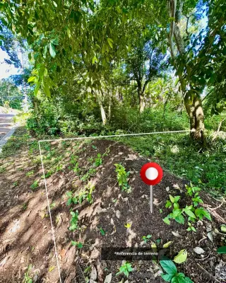 Terrenos para construir en Santa Ana dentro de residencial privado