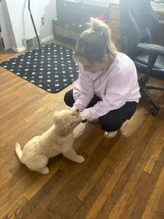 Intelligent and easy to train