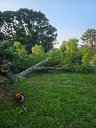 Garcias Tree Service and Lawn