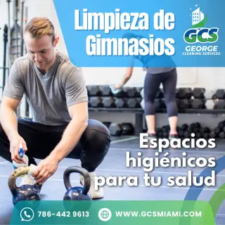 🎨 Diseño para Redes Sociales