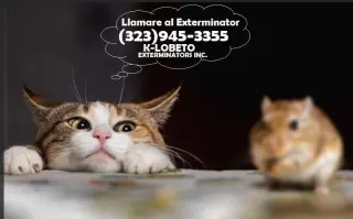 Control Ratones y Reparaciones