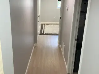 Cozy Property Alert