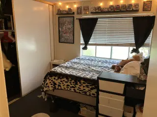 Cuarto privado en Lakewood para una sola persona baño compartido $1075 21/7/2026