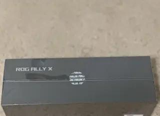 A sus Rog Ally