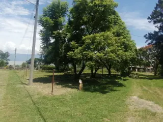 Puerto Corona