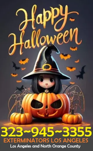 FUMIGACIONES 🦇 🎃 HALLOWEEN  🦇 🎃 24/7.~