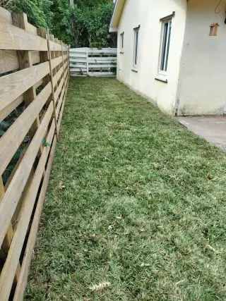 Junk removal