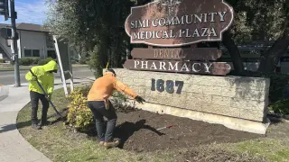 Se buscan Jardineros para mantenimiento