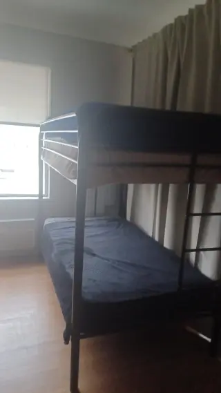 Busco Roomate en Miami Beach $585
