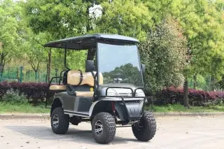 Electric Golf Cart - Perfect for Golf Courses and Neighborhoods
