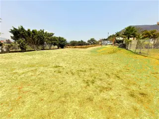 Rancho Alegre 2