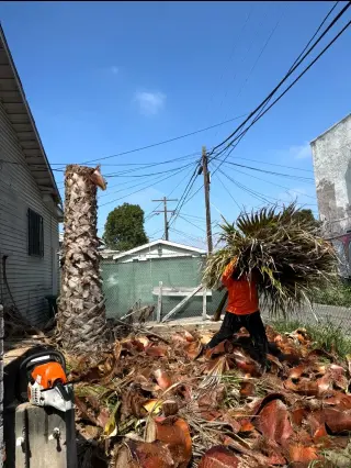 Heartwood Tree Service Corp