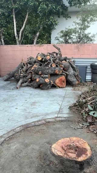 Erick's junk removal