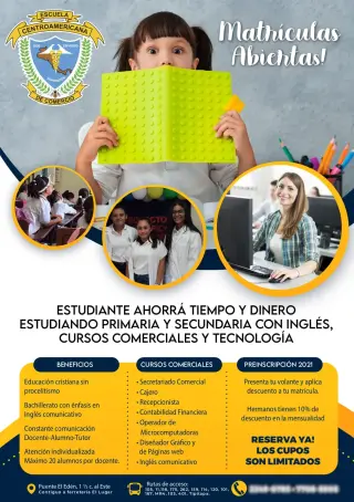 🎨 Diseño para Redes Sociales