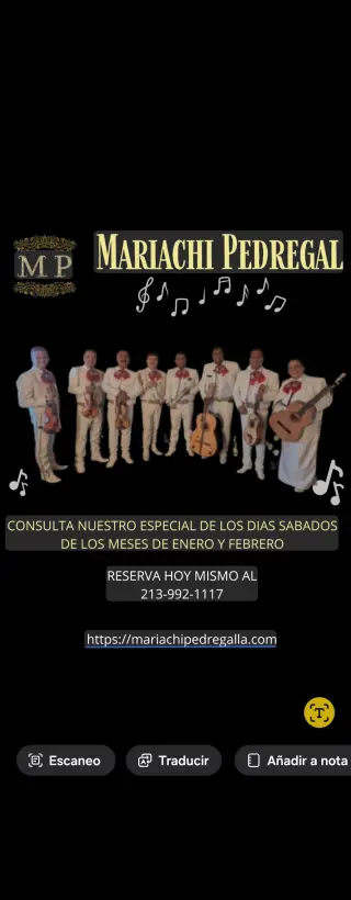 Mariachi pedregal
